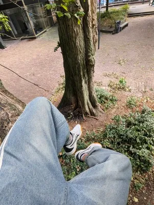 Tree spot — cover photo